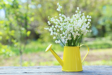Lily of the Valley in watering can on grey wooden background, ou - obrazy, fototapety, plakaty