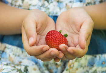 Fresh strawberries 