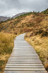 Wet Wooden Walkway in the Scottish Highlands