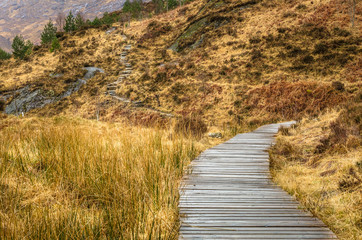 Uneven Wooden Walkway in the Scottish Highlands