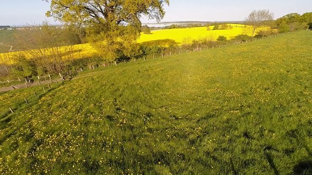 Flight over fields in springtime
