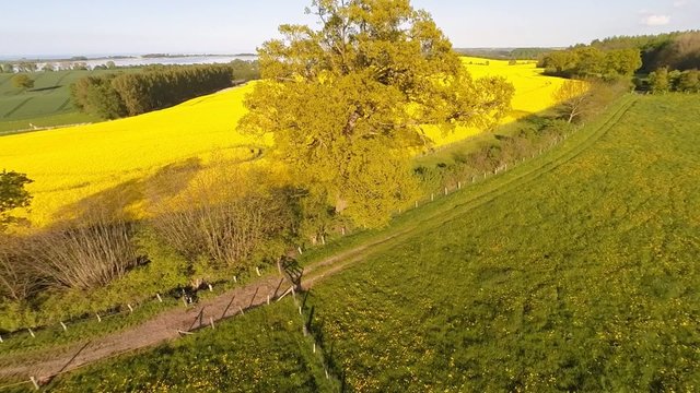 Flight over a rural landscape in spring