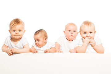 Four babies stand in a row on the white background