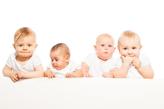 Four babies stand in a row on the white background