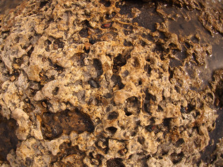 Texture of the wet and yellow stone