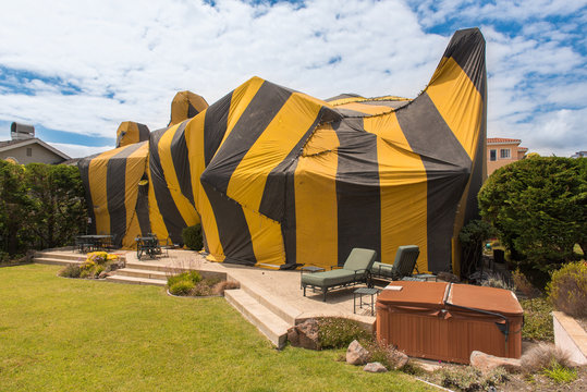 House Is Covered By Tent For Fumigation