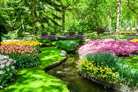Colorful spring flowers in Holland garden Keukenhof, Netherlands