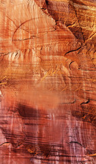 Octopus Abstract Capitol Reef National Park Utah