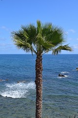 Laguna Beach, Orange County, California