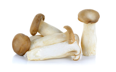 King Oyster mushroom isolated on the white background