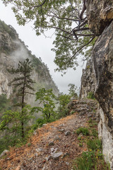 Tasnei Gorge, Romania