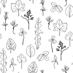 Seamless pattern with herbs and leaves