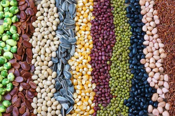 Foto op Canvas Collection of grain, cereal, seed, bean © xuanhuongho