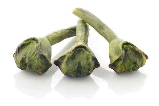 Water Chestnut