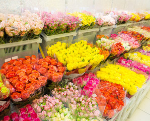 beautiful colorful flowers in flower shop