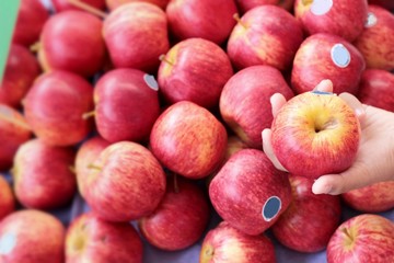 apples red