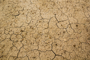 Dry cracked ground