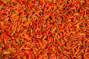 Ripe dried red Thai chili peppers