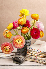 Obraz premium Colorful persian buttercup flowers (ranunculus)