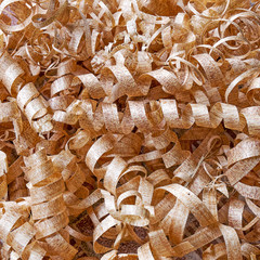 wooden shaving texture