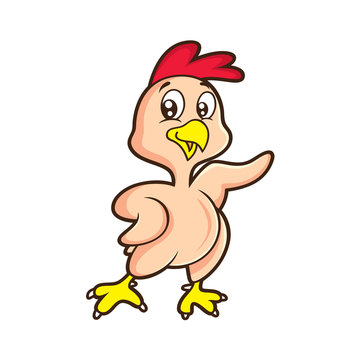 featherless chicken