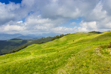 Carpathian landscape