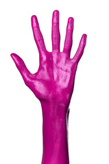 Pink hand on white background, isolated, paint