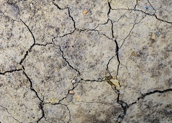 Barren ground horizontal