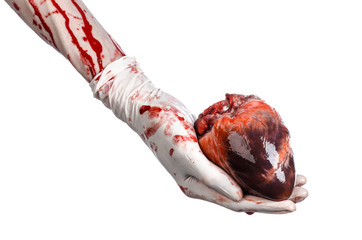 Bloody hand surgeon holding a human heart in a white gloves