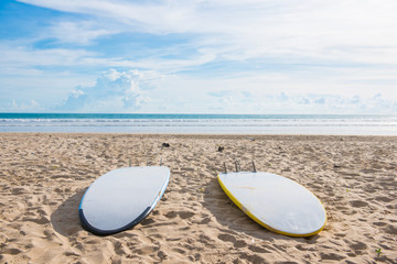 surfboards on sand at the beach
