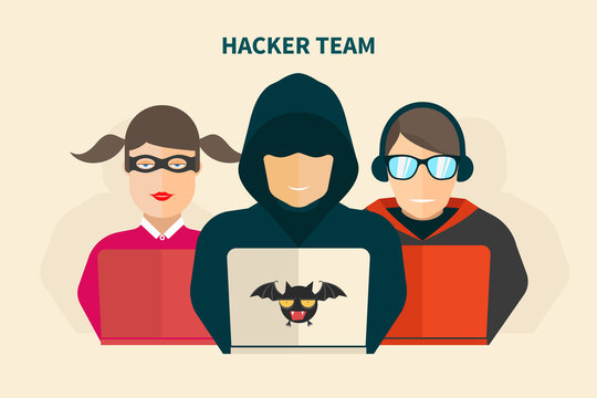 Hacker team - hacker, fraud, programmer