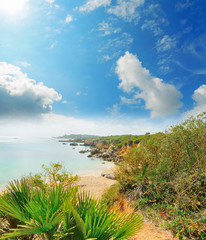Alghero shoreline under a cloudy sky