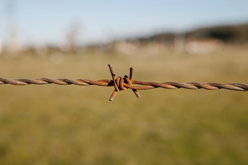 Detail of a rusty metal fence
