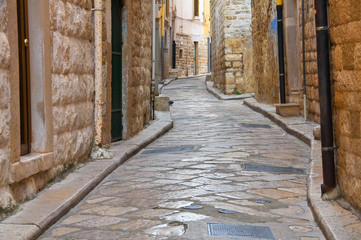 Fototapeta premium Alleyway. Andria. Puglia. italy. 