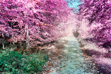 Purple infrared forest landscape