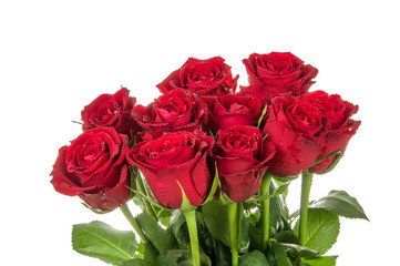  Red Roses