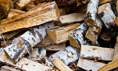 Birch wood in the woodpile