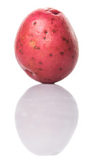 Red potato over white background