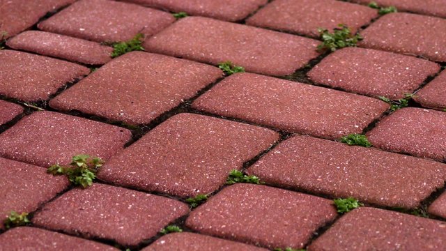 Red brick patio with weeds texture, 4K