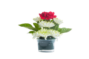 Bouquet of red carnations and chrysanthemum Flower
