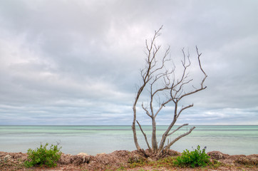 Fototapeta na wymiar Bahia Honda State Park, Florida Keys