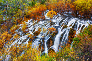 Shuzheng waterfall jiuzhaigou scenic