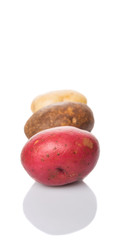 Red, brown, yellow potatoes on white background