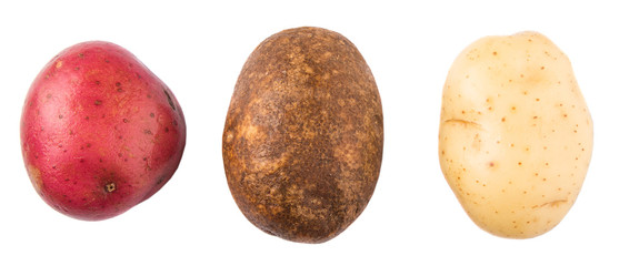 Fototapeta premium Red, brown, yellow potatoes on white background