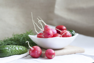 Cucumbers, radishes and herbs