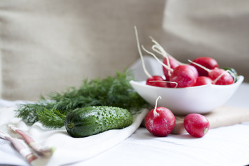 Cucumbers, radishes and herbs
