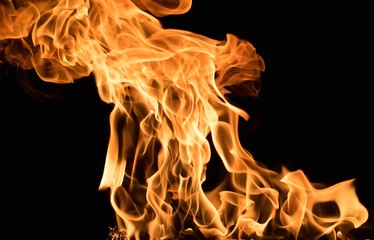 Burning flame on black background