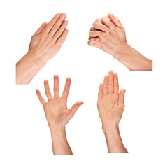 Female Hands