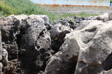 Wild Rocks and Panorama
