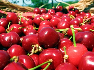 cerises